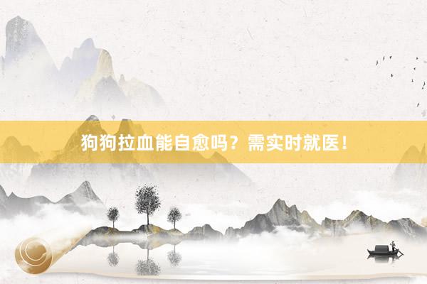 狗狗拉血能自愈吗？需实时就医！