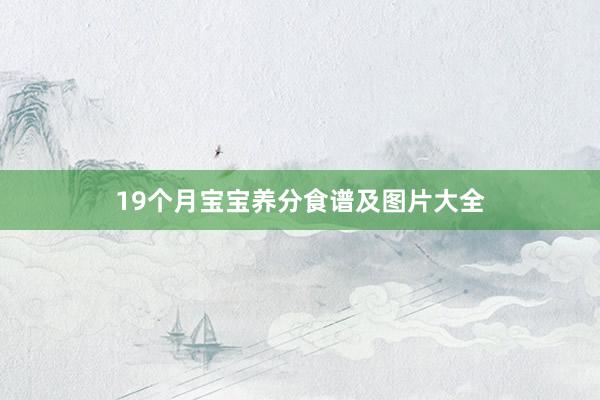 19个月宝宝养分食谱及图片大全